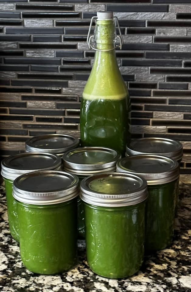 Sweet Green Veggie Juice